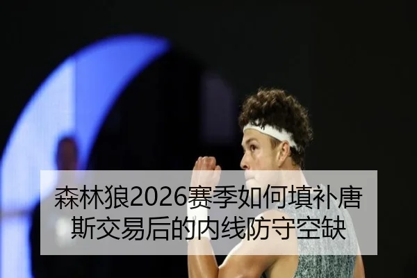 森林狼2026赛季如何填补唐斯交易后的内线防守空缺
